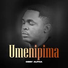 Cover art for Umenipima
